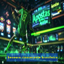 besouro rinoceronte brasileiro